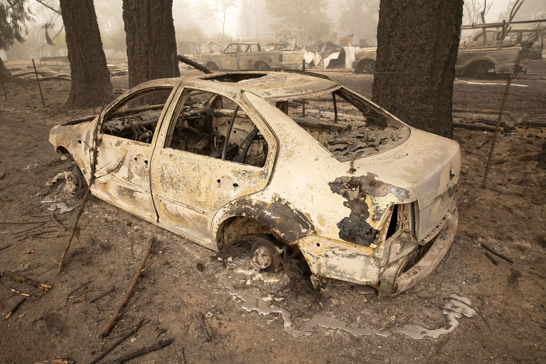 Pacific Northwest Wildfires